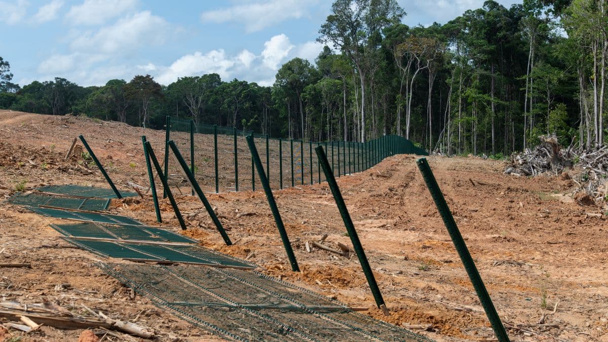 Green geotextile erosion control fencing staked along the edge of freshly cleared red-dirt land bordering a tree line